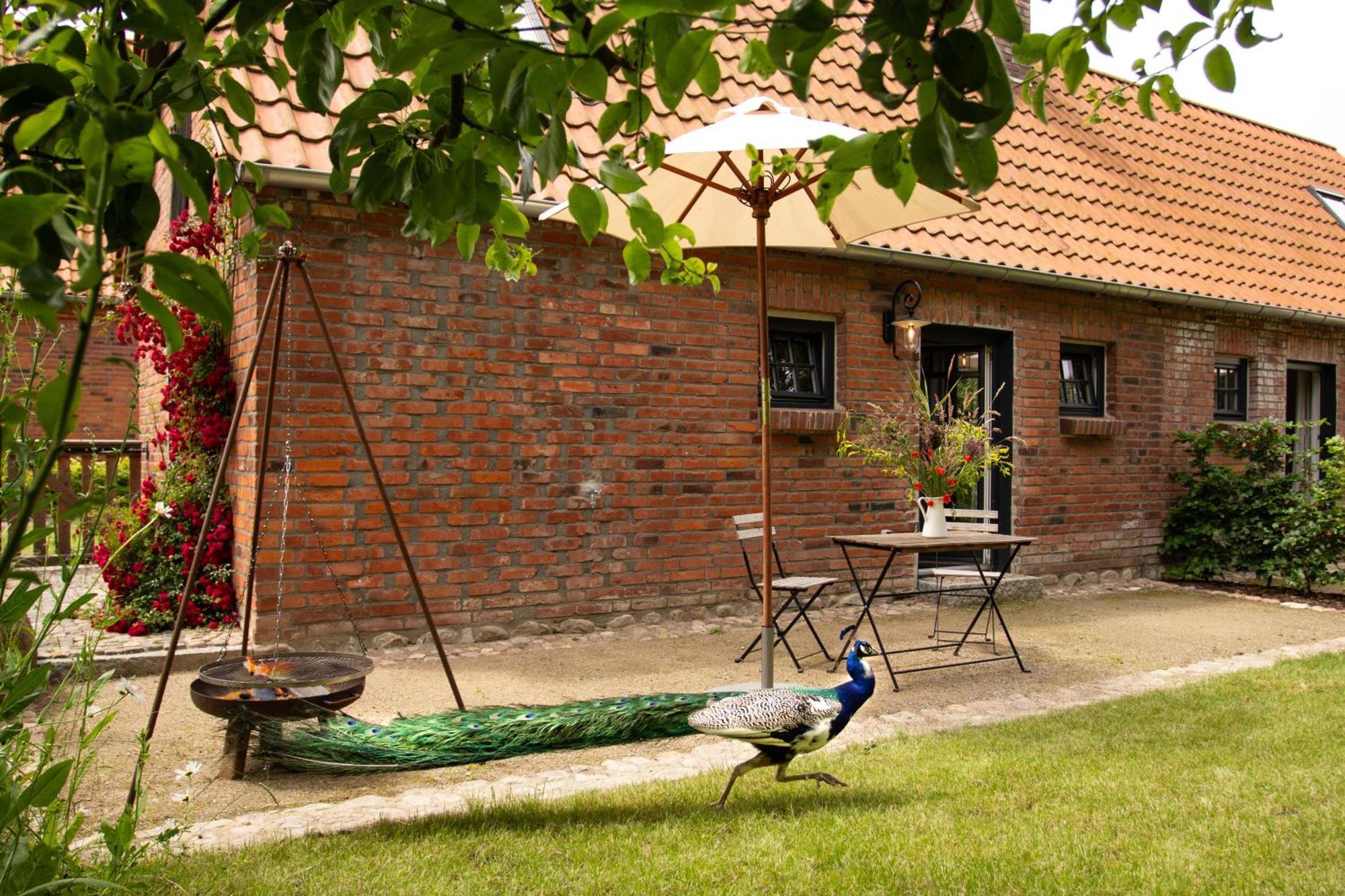 Вилла Idyllisches Landhaus, Garten & Kamin, Fuer Paare Kloster Tempzin Экстерьер фото